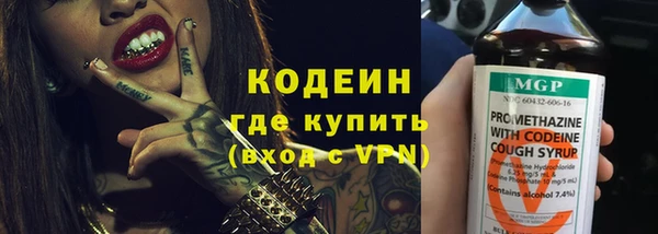 стаф Богородицк