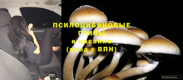 стаф Богородицк