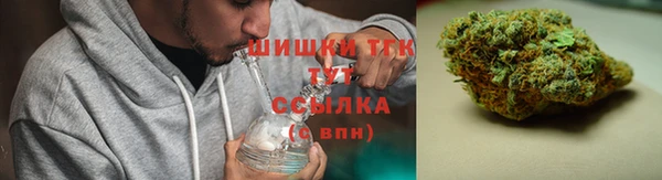 стаф Богородицк