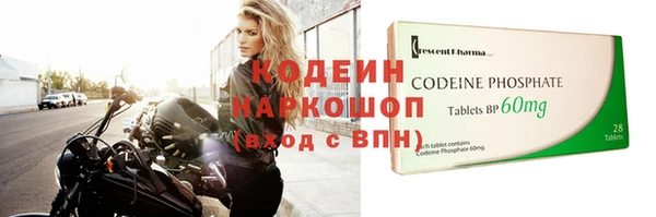индика Беломорск