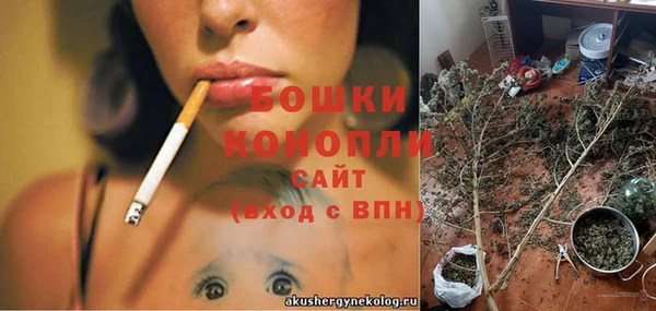 стаф Богородицк