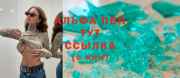 стаф Богородицк