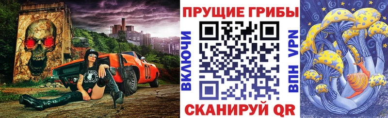 Псилоцибиновые грибы Psilocybe  Минеральные Воды 